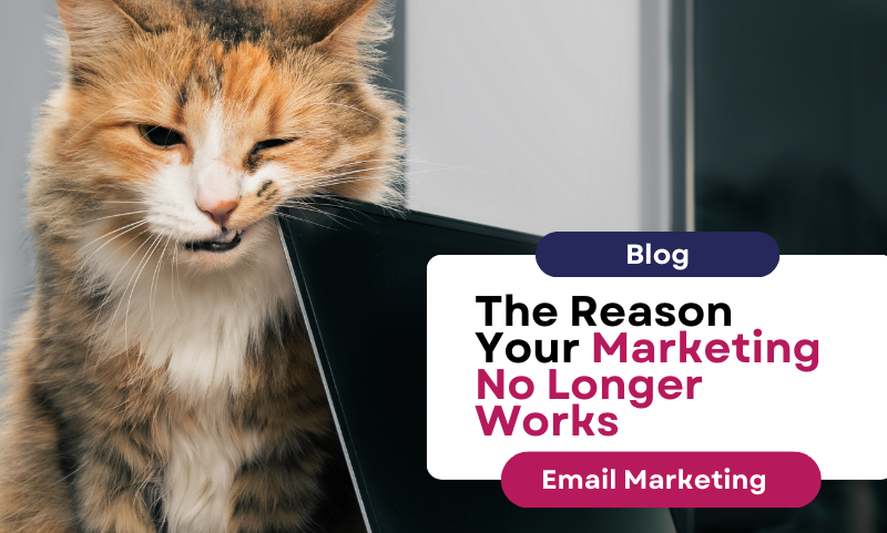 The Reason Your Marketing No Longer Works