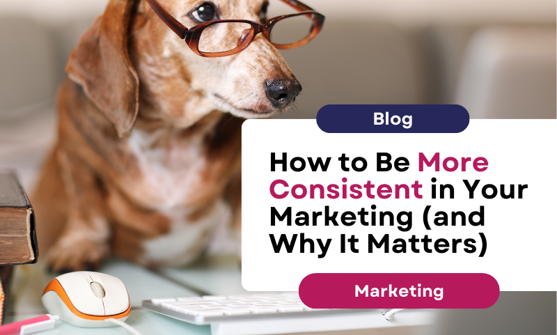 How to Be More Consistent in Your Marketing (and Why It Matters)