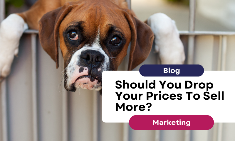 Is SEO Still Worth It in 2025 – Or Has AI Killed Organic Search